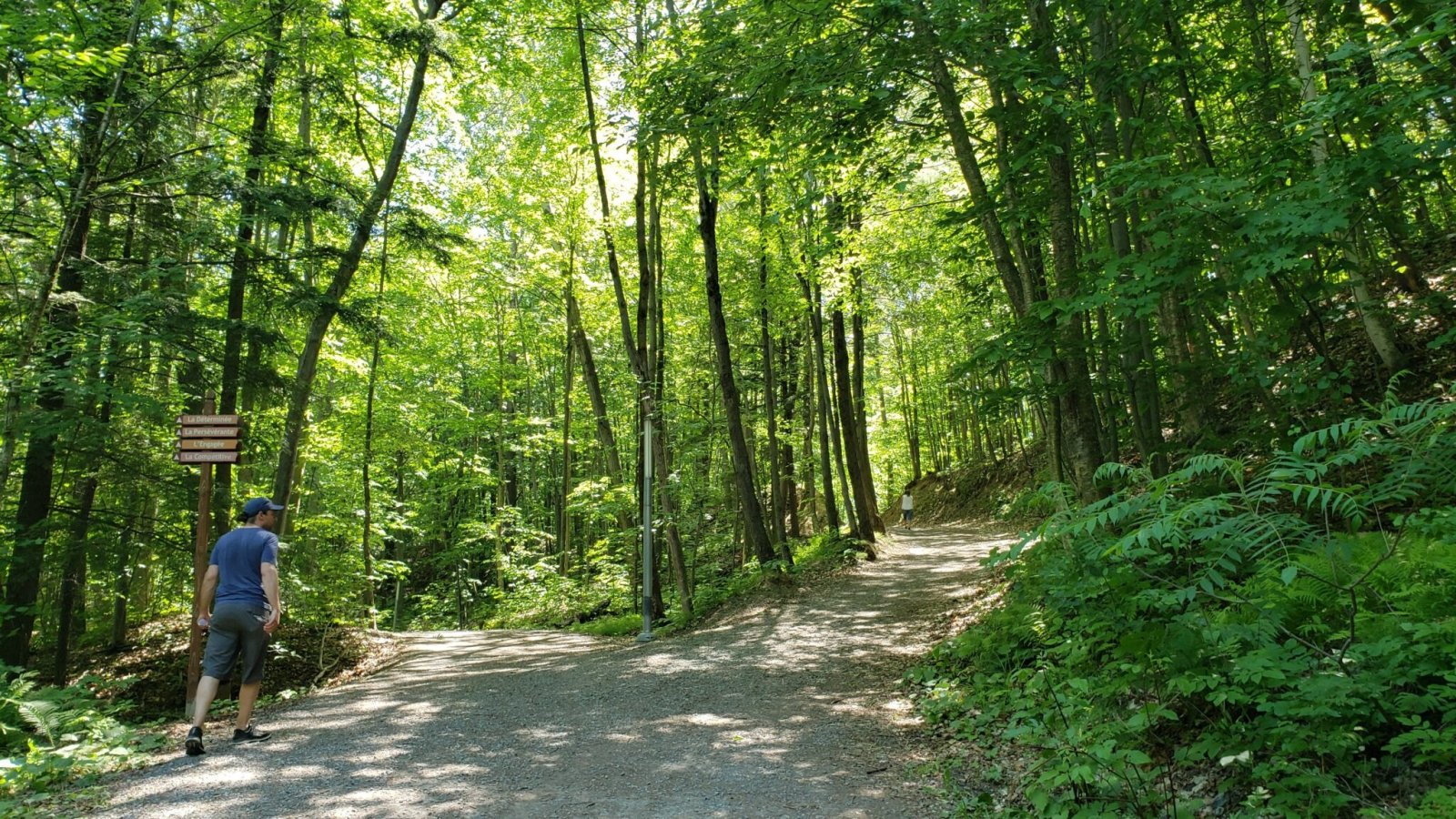 Le rafraîchissant parc du GrandCoteau Association forestière de Lanaudière
